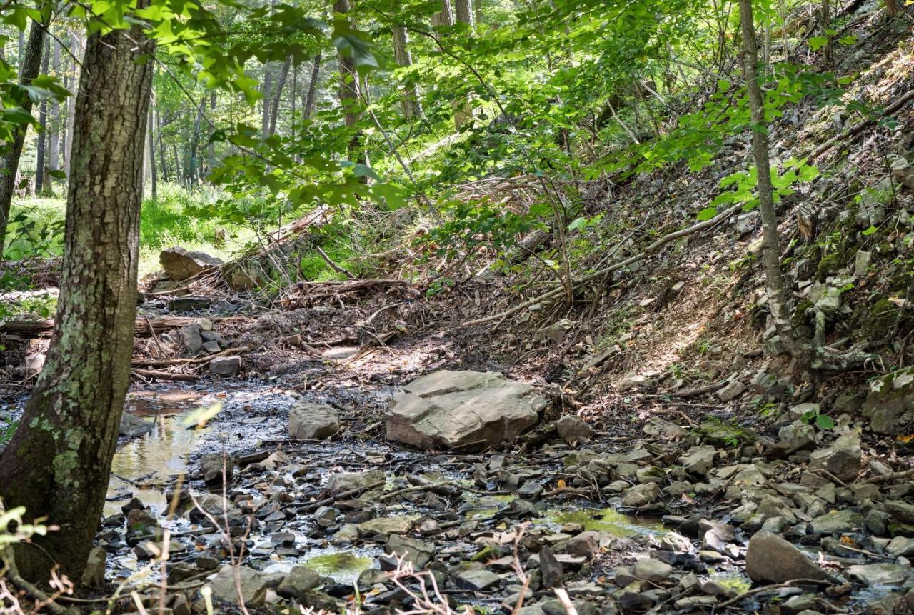 River Access W Hot Tub, Grill, Wifi, & Fire Pit! Lost City Extérieur photo